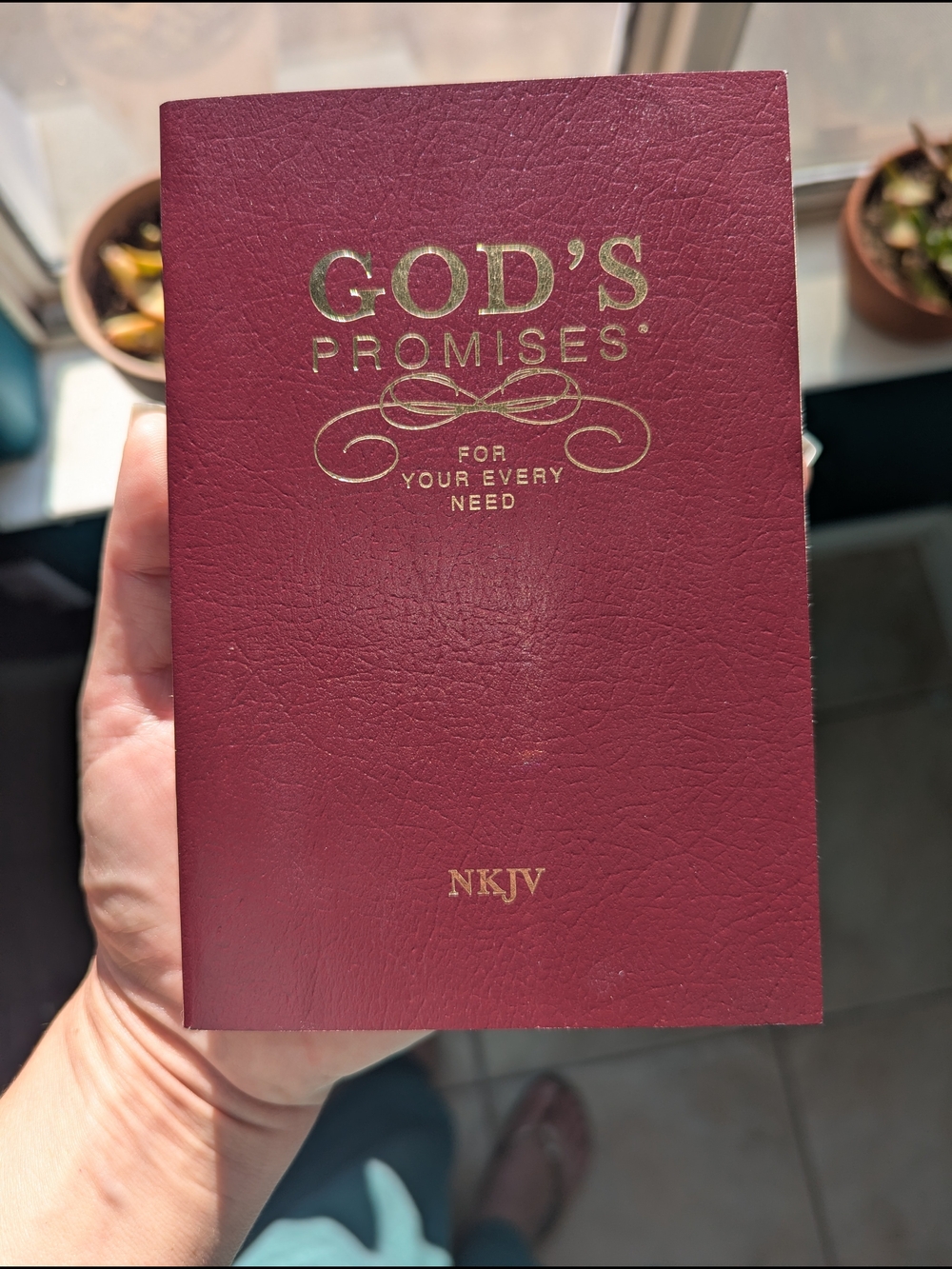 ❣️God's Promises❣️ NKJV Pocket Devotional